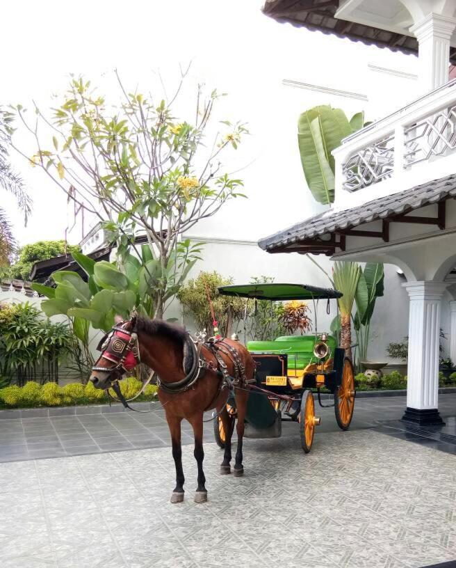 Raintree Boutique Villa & Gallery Yogyakarta Exteriér fotografie
